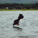 108_9794_jpg-1296344989