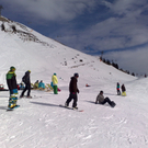 29012011481_jpg-1296374644