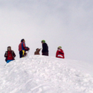 29012011487_jpg-1296374995
