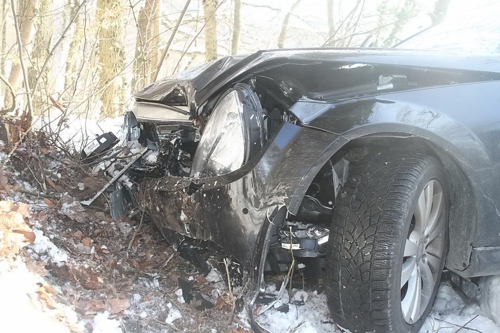 29012011baumffaktivnews_11.jpg