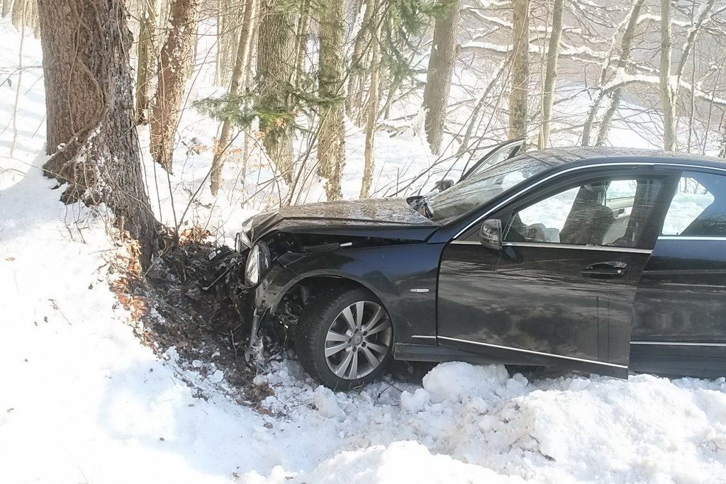 29012011baumffaktivnews_02.jpg