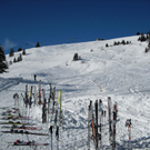 29012011gaissaurl _21_.JPG