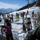 29012011gaissaurl _20_.JPG