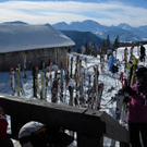 29012011gaissaurl _19_.JPG