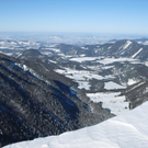 29012011gaissaurl _12_.JPG