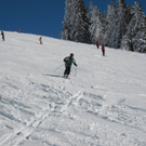 29012011gaissaurl _7_.JPG