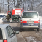 30012011hundffaktivnews_11.jpg