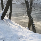 30012011hundffaktivnews_06.jpg