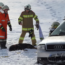 normal_30012011vuzugffaktivnews_022.jpg