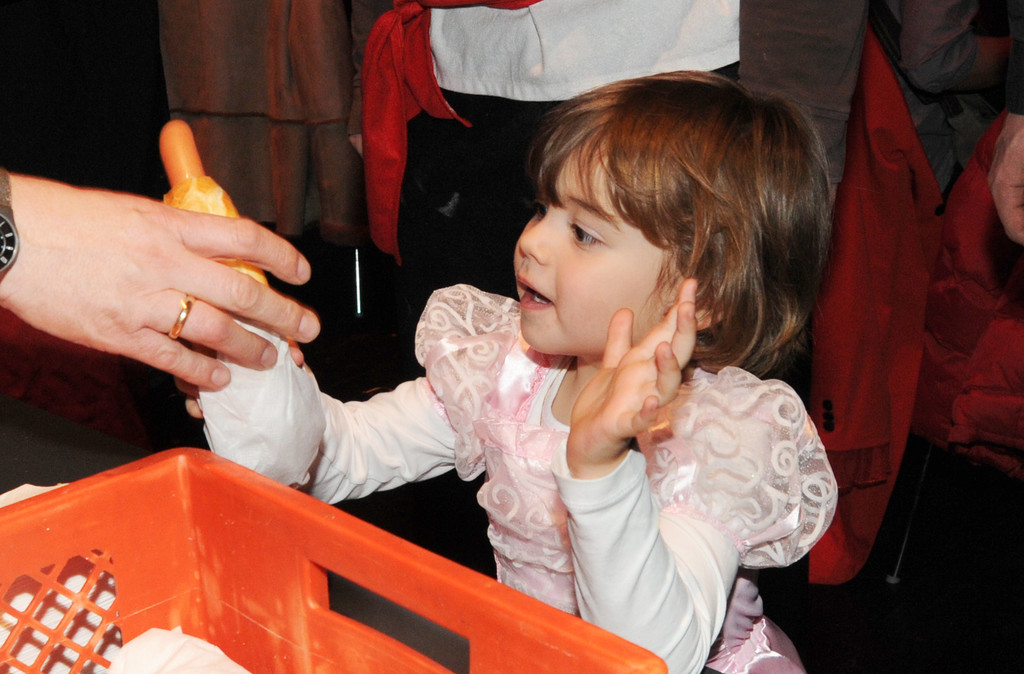 Kinderball 2011 138_jpg-1296421471