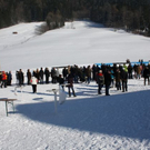 normal_30012011hornerschlittenrennenfdaktivnews_001.jpg
