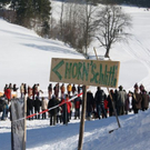 normal_30012011hornerschlittenrennenfdaktivnews_002.jpg