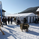 normal_30012011hornerschlittenrennenfdaktivnews_008.jpg