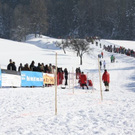 normal_30012011hornerschlittenrennenfdaktivnews_010.jpg