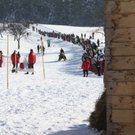 normal_30012011hornerschlittenrennenfdaktivnews_014.jpg