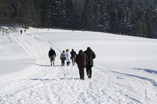 normal_30012011hornerschlittenrennenfdaktivnews_022.jpg