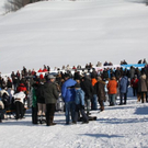 normal_30012011hornerschlittenrennenfdaktivnews_100.jpg