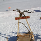 normal_30012011hornerschlittenrennenfdaktivnews_101.jpg