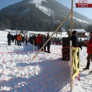 normal_30012011hornerschlittenrennenfdaktivnews_105.jpg