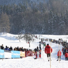 normal_30012011hornerschlittenrennenfdaktivnews_108.jpg