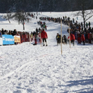 normal_30012011hornerschlittenrennenfdaktivnews_113.jpg