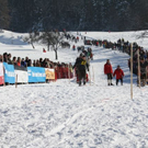normal_30012011hornerschlittenrennenfdaktivnews_119.jpg