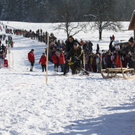 normal_30012011hornerschlittenrennenfdaktivnews_122.jpg