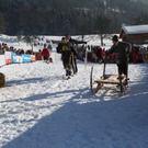 normal_30012011hornerschlittenrennenfdaktivnews_126.jpg