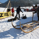 normal_30012011hornerschlittenrennenfdaktivnews_129.jpg