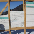 normal_30012011hornerschlittenrennenfdaktivnews_138.jpg