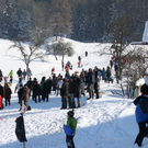 normal_30012011hornerschlittenrennenfdaktivnews_146.jpg
