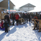 normal_30012011hornerschlittenrennenfdaktivnews_171.jpg