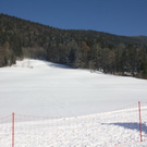 normal_30012011hornerschlittenrennenfdaktivnews_172.jpg