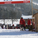 normal_30012011hornerschlittenrennenfdaktivnews_178.jpg