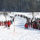 normal_30012011hornerschlittenrennenfdaktivnews_181.jpg