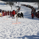 normal_30012011hornerschlittenrennenfdaktivnews_184.jpg