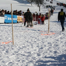 normal_30012011hornerschlittenrennenfdaktivnews_189.jpg