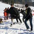normal_30012011hornerschlittenrennenfdaktivnews_196.jpg
