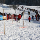 normal_30012011hornerschlittenrennenfdaktivnews_204.jpg