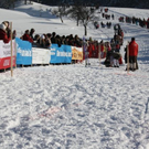 normal_30012011hornerschlittenrennenfdaktivnews_207.jpg