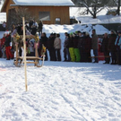 normal_30012011hornerschlittenrennenfdaktivnews_209.jpg