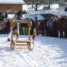 normal_30012011hornerschlittenrennenfdaktivnews_210.jpg