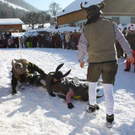 normal_30012011hornerschlittenrennenfdaktivnews_215.jpg
