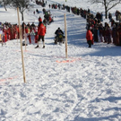 normal_30012011hornerschlittenrennenfdaktivnews_225.jpg