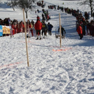 normal_30012011hornerschlittenrennenfdaktivnews_226.jpg