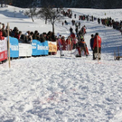 normal_30012011hornerschlittenrennenfdaktivnews_227.jpg