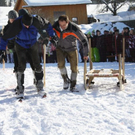 normal_30012011hornerschlittenrennenfdaktivnews_233.jpg