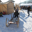 normal_30012011hornerschlittenrennenfdaktivnews_235.jpg