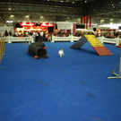 PB284710.JPG