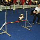 PB284746.JPG